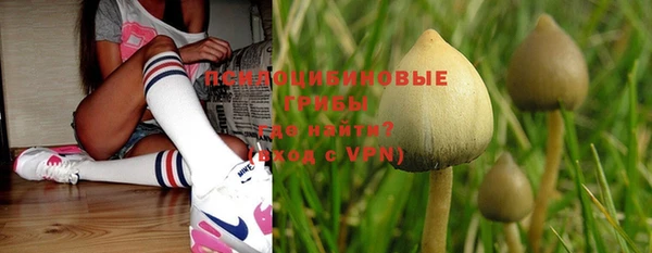 стаф Абинск