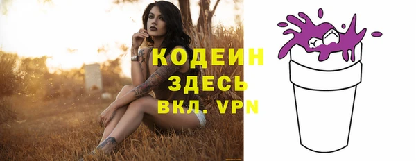 стаф Абинск