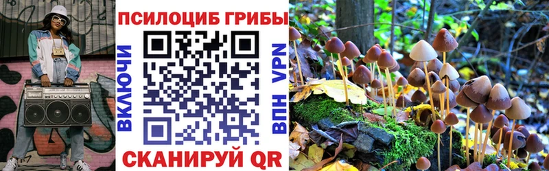 Галлюциногенные грибы мухоморы  наркота  Собинка 